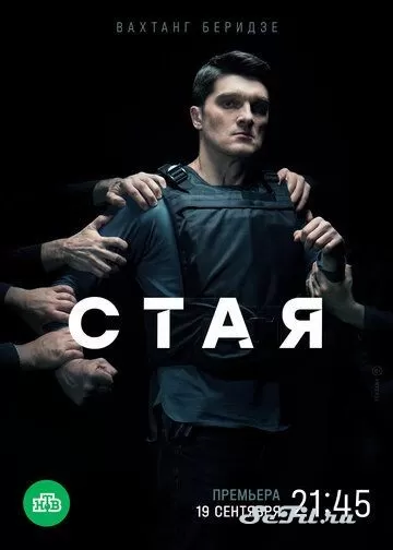 Русский Сериал Стая (2022)  смотреть онлайн, а также  трейлер,  актеры,  отзывы и другая информация на СеФил.РУ