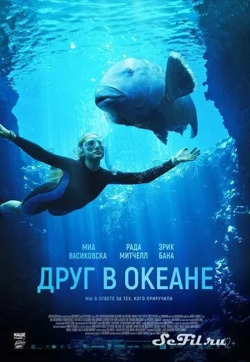 Фильм Друг в океане (2022) (Blueback)  трейлер, актеры, отзывы и другая информация на СеФил.РУ