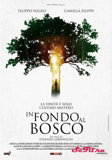 Фильм В глубине леса (2015) (In fondo al bosco)  трейлер, актеры, отзывы и другая информация на СеФил.РУ