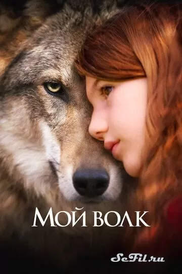 Мой волк (2021)