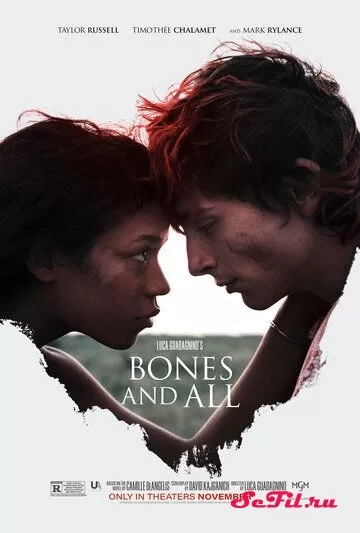 Фильм Целиком и полностью (2022) (Bones and All)  трейлер, актеры, отзывы и другая информация на СеФил.РУ