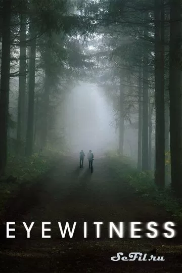 Сериал Свидетели (2016) (Eyewitness)  трейлер, актеры, отзывы и другая информация на СеФил.РУ
