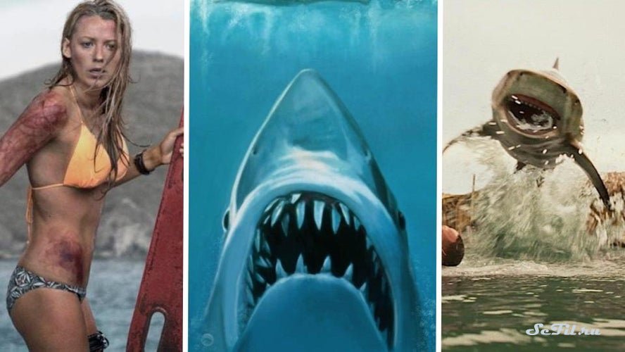 Наш топ 10 фильмов про акул