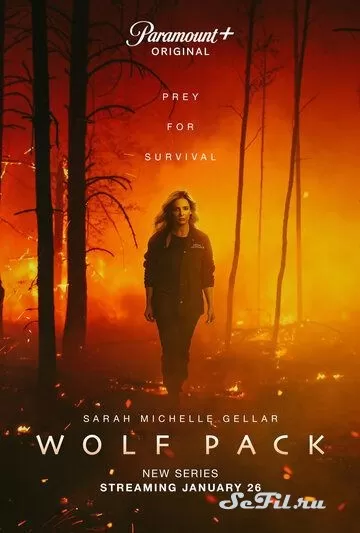 Сериал Волчья стая (2023) (Wolf Pack)  трейлер, актеры, отзывы и другая информация на СеФил.РУ