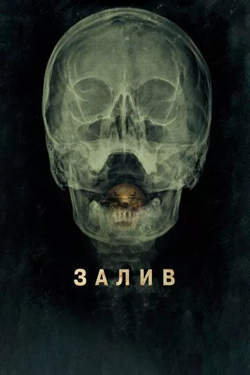 Фильм Залив (2012) (The Bay)  трейлер, актеры, отзывы и другая информация на СеФил.РУ