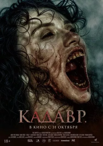 Фильм Кадавр (2023) (Cenaze)  трейлер, актеры, отзывы и другая информация на СеФил.РУ